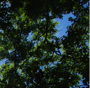 top_right