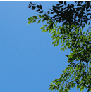 middle_center