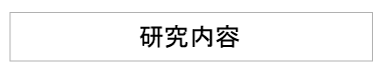 研究内容