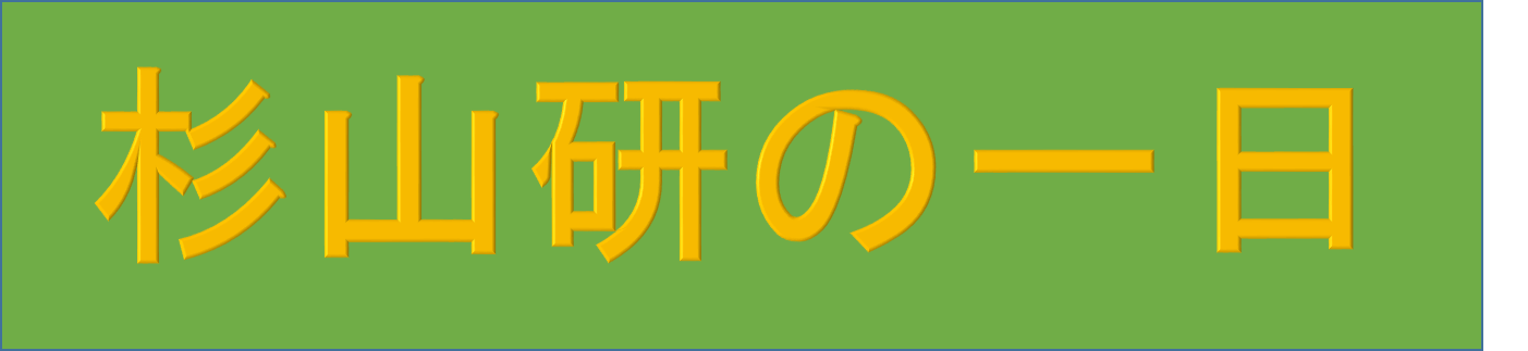 杉山研の一日